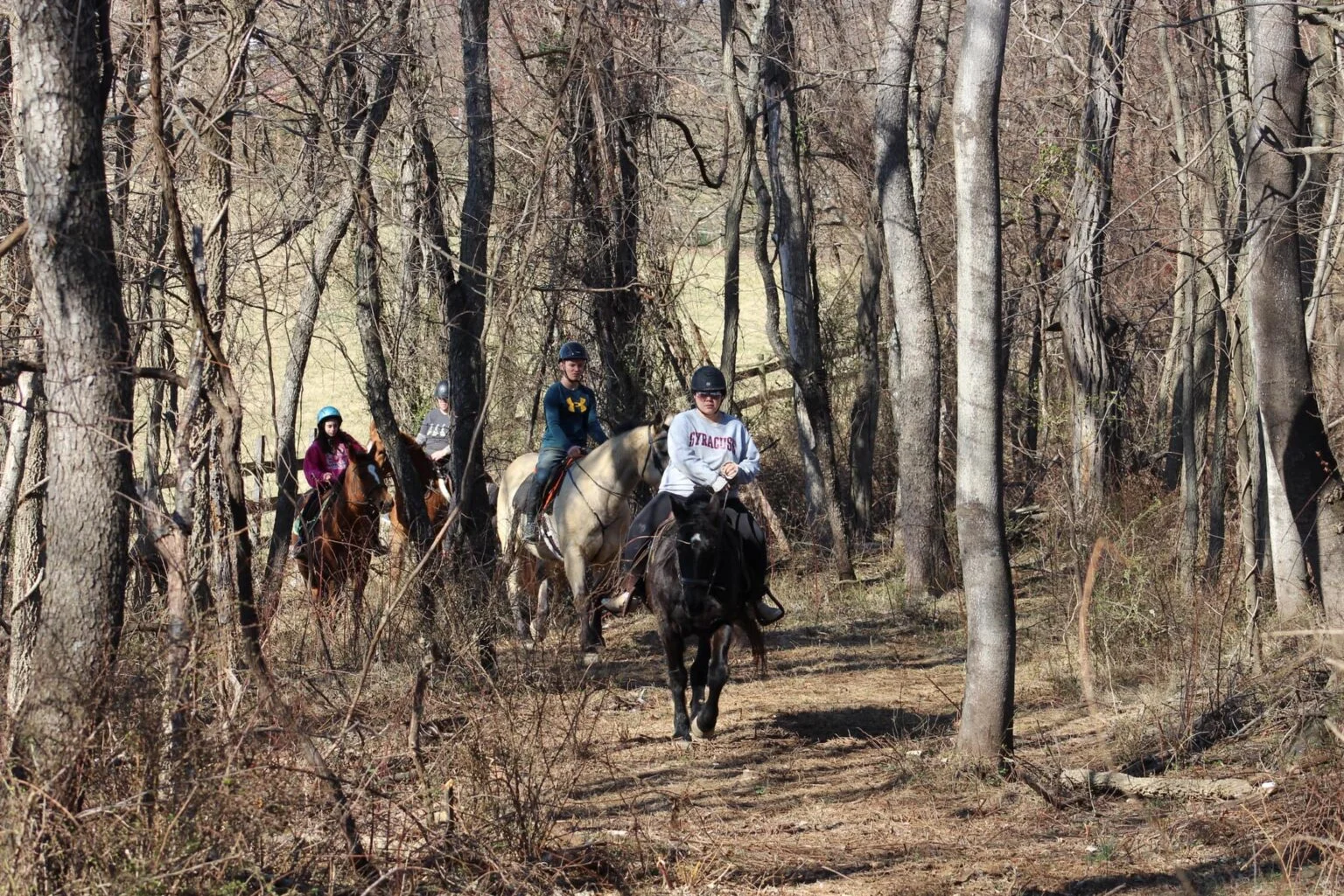 Horseback Riding Charles Town